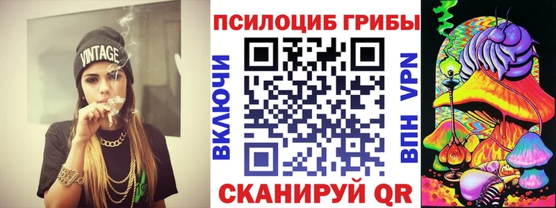 Купить закладки  Заозёрск  Галлюциногенные грибы MAGIC MUSHROOMS 